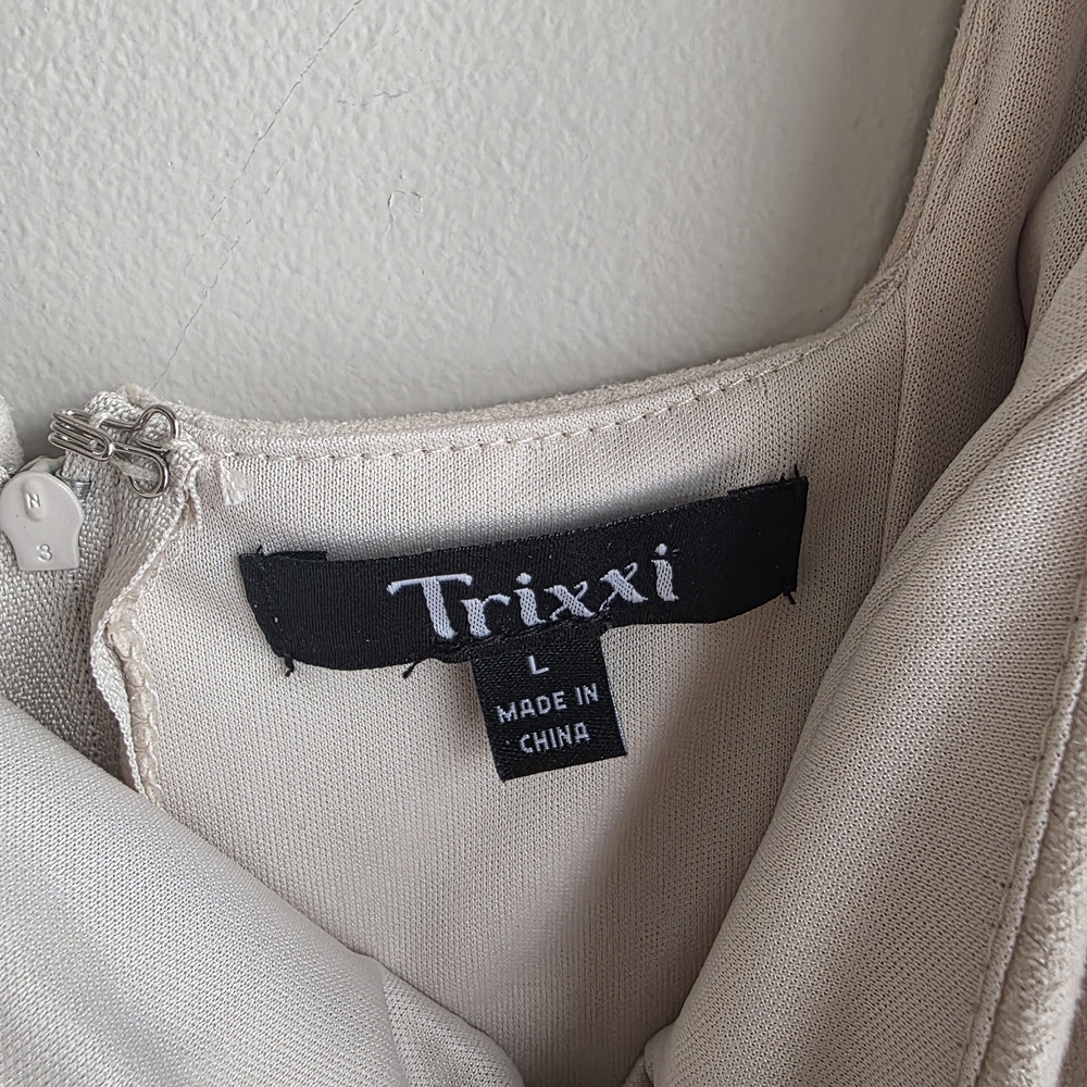 NWOT Trixxi Cream Faux Suede Tiered Fringe Mini Dress - Boho - Picture 4 of 12